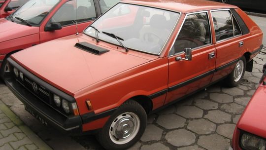 Kariera poloneza i żuka pod piramidami