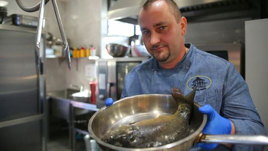 Karp pijany czy imbirowy? Propozycje na niedzielny obiad 