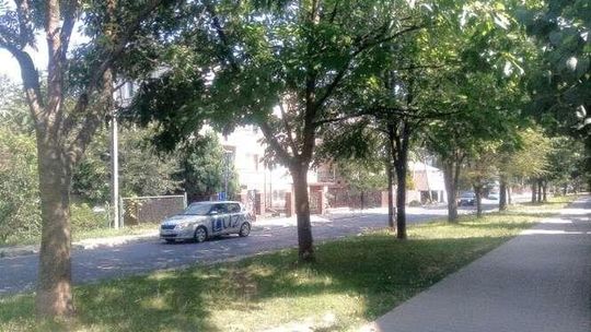 Kasztanowa: Przebudowa zajmie aż półtora roku