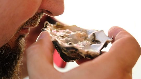 Katarzyna Bosacka, Michał Fabiszewski oraz ostrygi i inne tajemnice