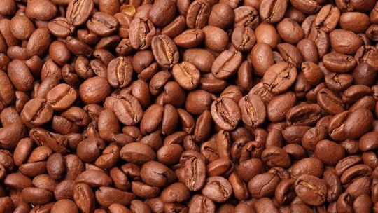 Kawa oczyma restauratora i importera kawy