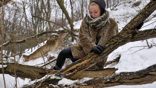 Kazimiernikejszyn 2015 (program)