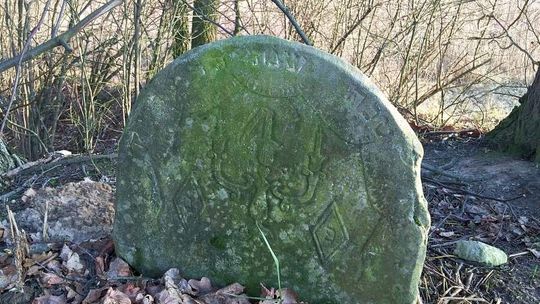 Kazimierz Dolny. Macewy wracają na kirkut