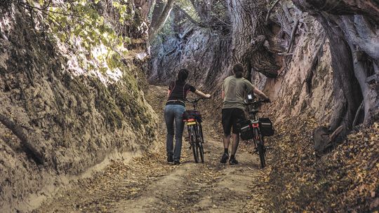Kazimierz Dolny. Mieli położyć betonowe płyty w wąwozie. Miasto zerwało umowę z wykonawcą