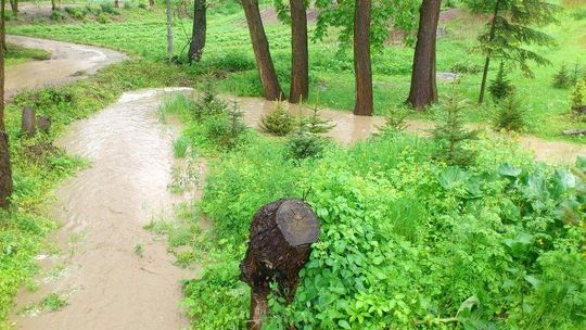 Kazimierz Dolny. Powstrzymać groźny Grodarz
