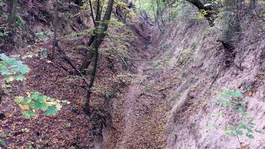 Kazimierz Dolny. Wąwóz piękny, ale zaśmiecony