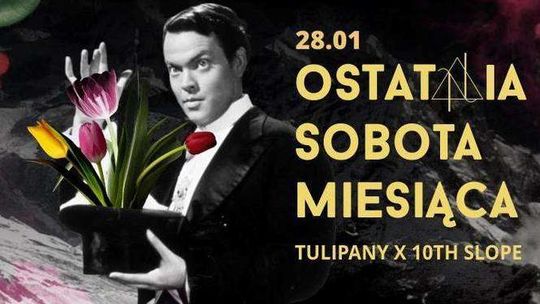 Kiano, Kosma i Nowosad w Nadziei