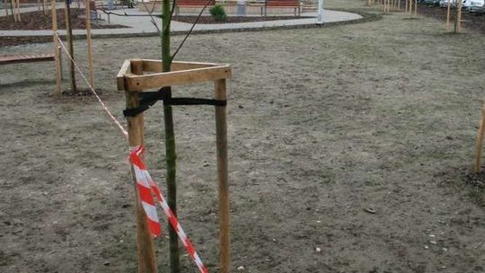 Kiedy będzie zielono na nowym skwerze w Puławach