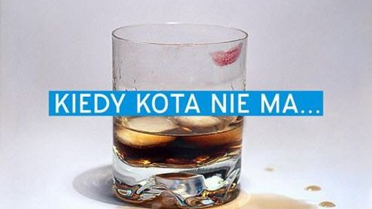 \"Kiedy kota nie ma...\" w Teatrze Muzycznym