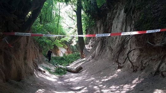 Kiedy otworzą Korzeniowy Dół? Szansa na znieniesie opłat za wstęp