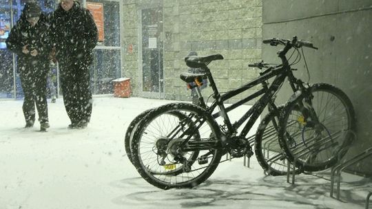 Kiedy przyjdzie prawdziwa wiosna?