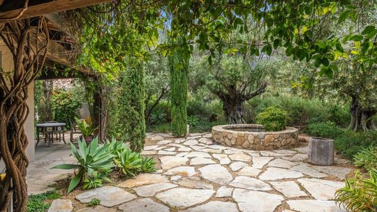 Kiedy sypać mączkę bazaltową? Klucz do żyznej gleby i zdrowych roślin