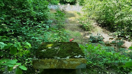 Kiedyś mieszkańcy chcieli odnowy tego miejsca. Czy basen wróci na Tatary?