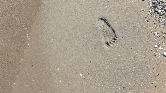 Kiepskie warunki sanitarne na koloniach. Lubelski sanepid wylicza uchybienia