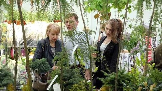 Kiermasze kwiatów i krzewów w Sitnie i Końskowoli