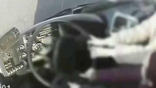 Kierowca autobusu zasłabł. Pasażerki uratowały sytuację (wideo)