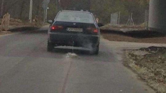 Kierowca ciągnął psa za samochodem. To był nieszczęśliwy wypadek?