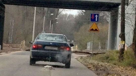 Kierowca odjechał z psem przywiązanym do haka. Weterynarz: "Mężczyzna był w szoku"