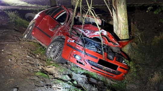 Kierowca seata zjechał z drogi i uderzył w przydrożne drzewo