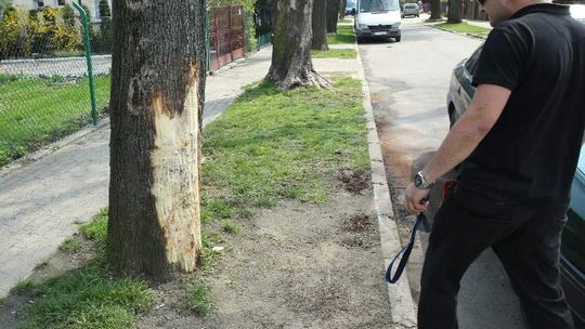 Kierowca subaru wjechał w grupę ludzi. Chciał uciec, ale dopadli go piesi