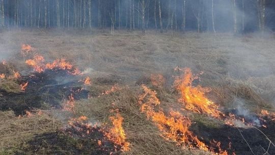 Kilkanaście pożarów dziennie. Zaczęło się wypalanie traw