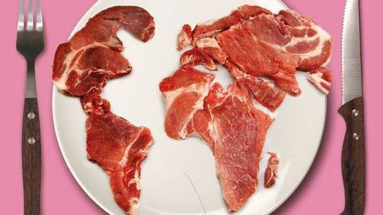 Kilogram kurczaka tańszy niż kilogram truskawek. Czym za to płacimy?