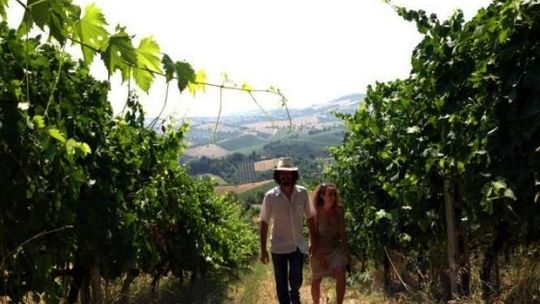 Kino: "Upór natury" w CSK