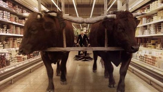 Kino w Teatrze Starym: "Onirica" Lecha Majewskiego. Spotkanie z reżyserem