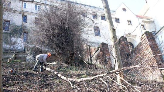 Klasztorne porządki. Piłą i łopatą