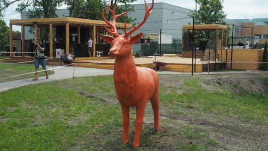 Klub Plener otwiera się w sobotę. W nowym miejscu (zdjęcia)