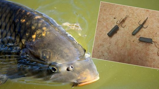 Kłusownicy przyłapani nad Wisłą. Używali barbarzyńskiej metody