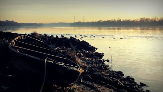 Kłusownicy wpadli w gminie Wilków. Zastawiali sieci na Wiśle