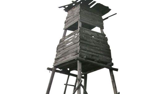 Kłusownik okazał się... myśliwym. Usłyszał zatrzuty