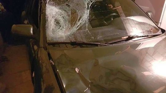 Kobieta wyszła na drogę zza busa, nie żyje. 22-letni kierowca zatrzymany [zdjęcia]