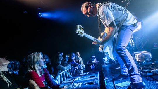 Kobranocka, Róże Europy i Sztywny Pal Azji wystąpili w Zgrzycie