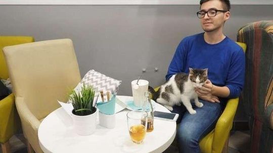 Kocia kawiarnia w Lublinie już otwarta (zdjęcia, wideo)