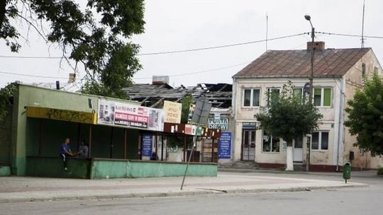 Kock w strachu. Kobiety boją się wychodzić po zmroku