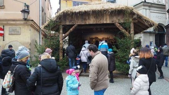 Kolędowanie przy szopce. Program koncertów