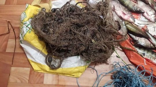 Kolega wiózł kolegę na ramie roweru. Ale to nie było ich największe przewinienie