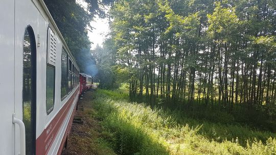 Kolej wąskotorowa hitem tego lata. Ma być nowa atrakcja