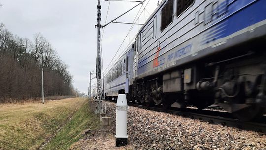 Kolej wie, jak odstraszyć zwierzęta przed nadjeżdżającym pociągiem 