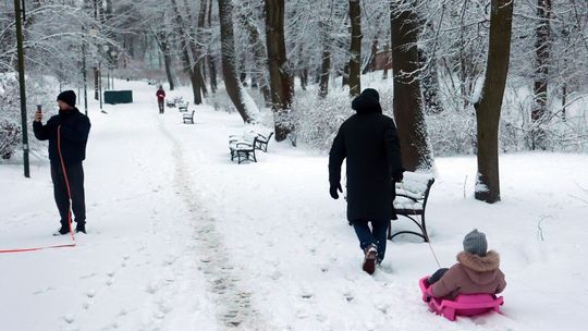 IMG ostrzega przed silnymi mrozami