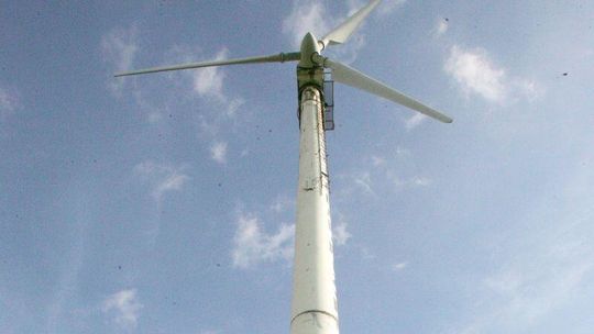 Kolejna wojna z wiatrakami. \"Ekoterroryzm! Mamią rolników łatwym zyskiem\"