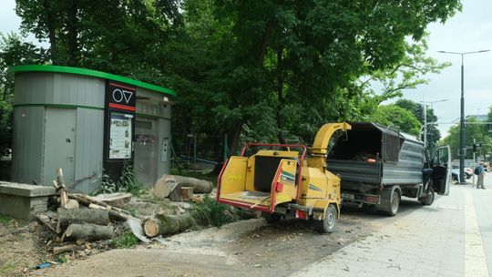 Kolejna wycinka przy Al. Racławickich