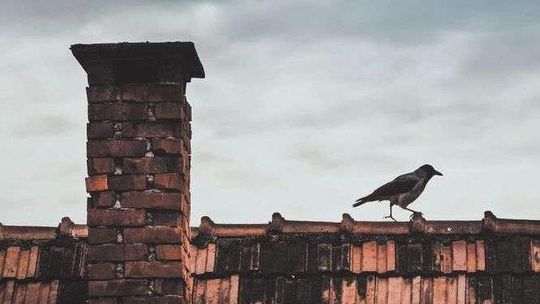 Kolejne dotacje na wymianę pieców jeszcze w tym roku?