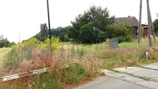 Kolejowy przejazd wyjrzał z chaszczy