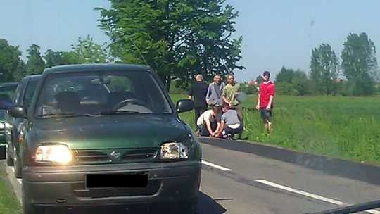 Kolonia Ludwin: 9-latka potrącona przez nissana