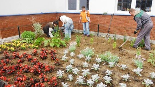 Kolorowo na osiedlach w Puławach. Wzięli kwiatki w swoje ręce