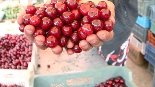 Kolorowy smak lata. Przepisy na dania z owocami