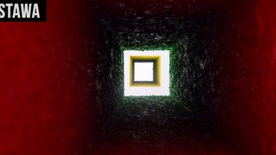 "Kompleksy i frustracje w Galerii Labirynt